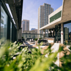 Chicago rooftops for groups and Corporate outings and events